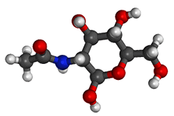 Acetil Glucosamina