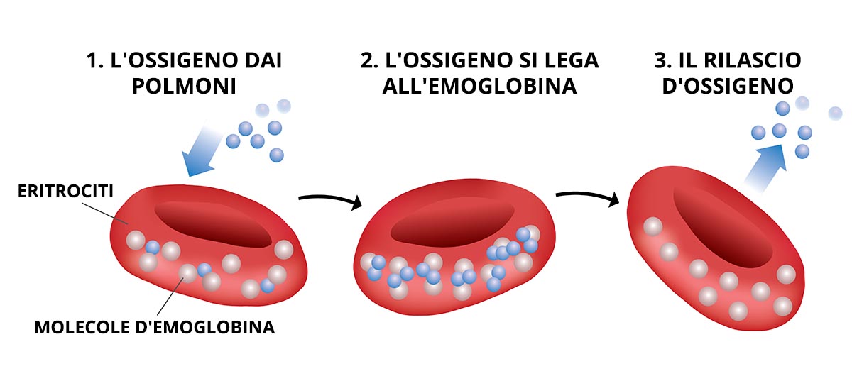 pericolosa carenza di ferro
