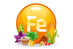 ferro - fe