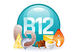 vitamina b12