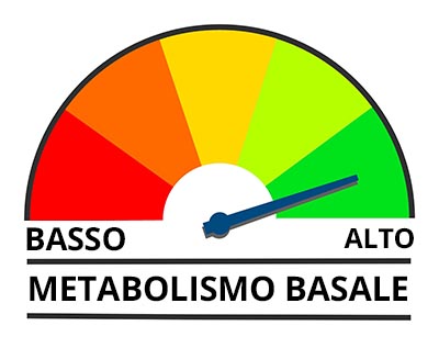 il metabolismo basale