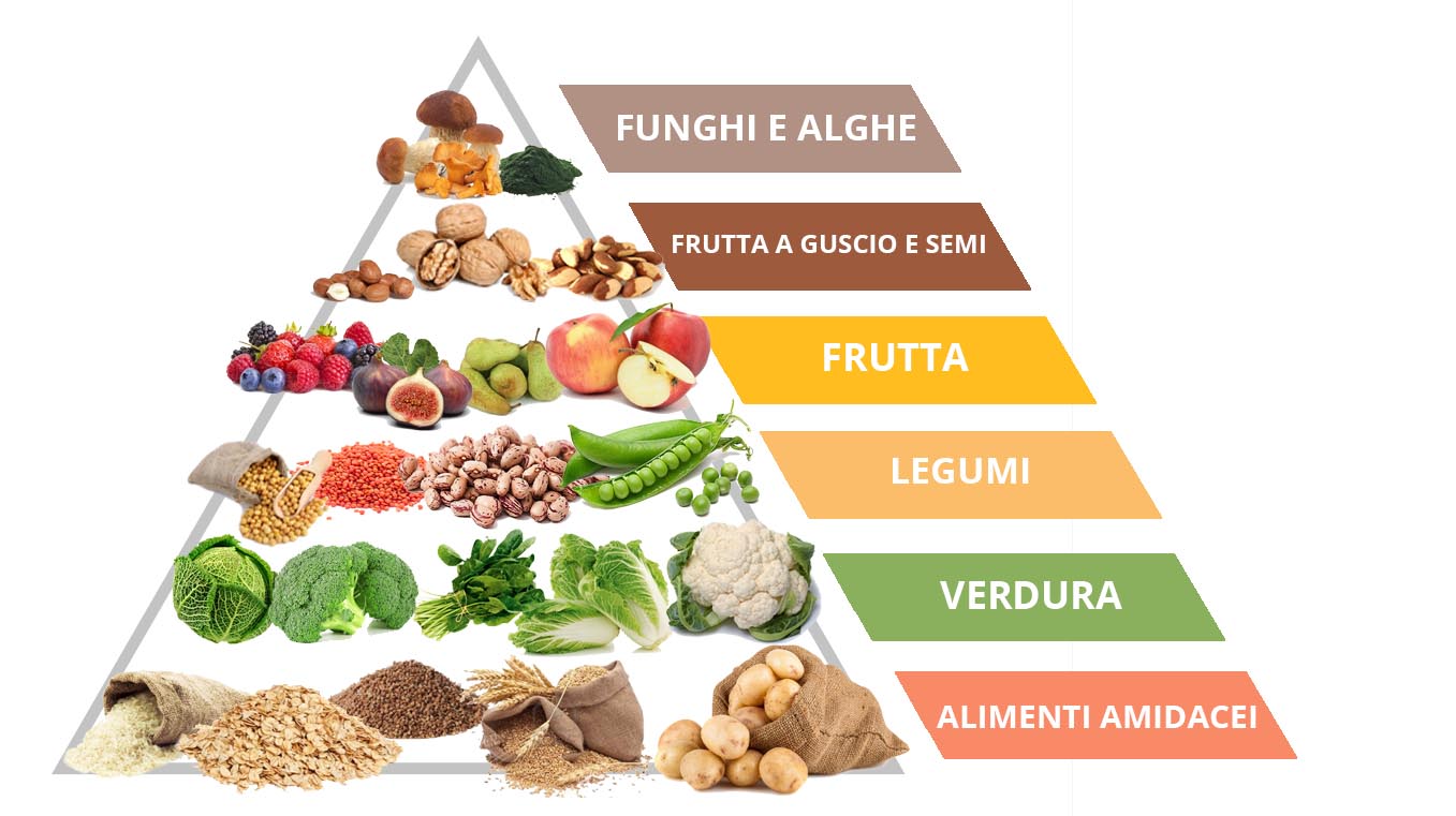 la piramide alimentare vegana
