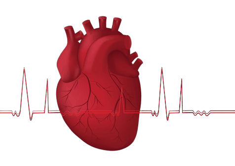 Rischio dello sviluppo di malattie cardio-vascolari